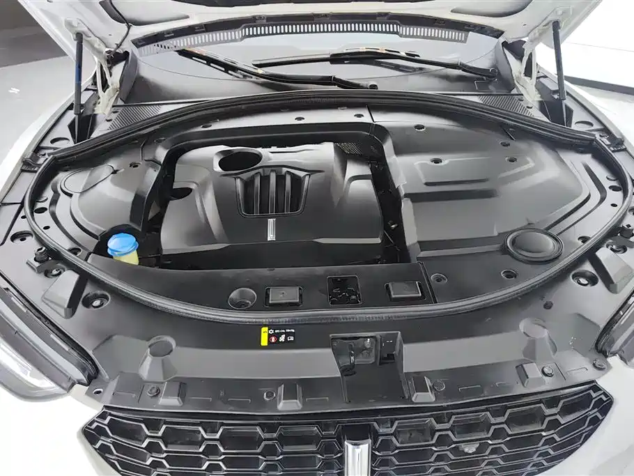 WEI PAI WEI BRAND VV7