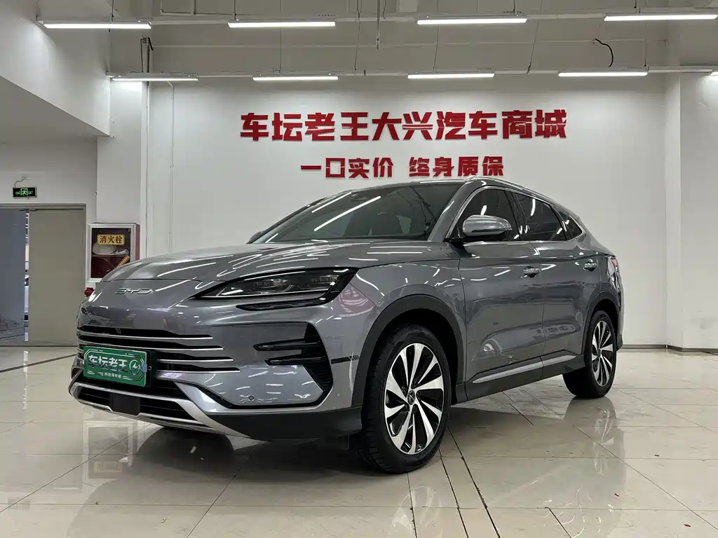 BYD PLUS New Energy