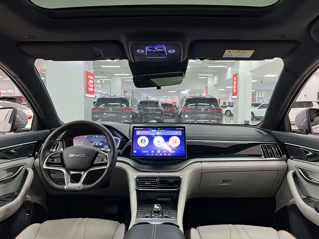 BYD PLUS New Energy — миниатюра 8