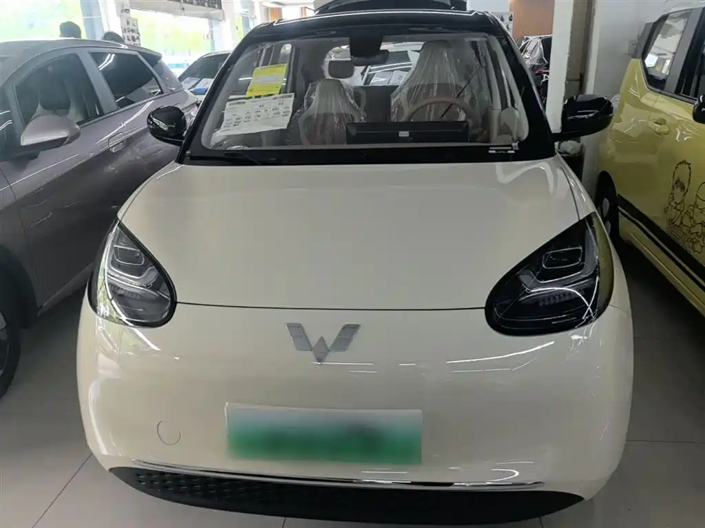Wuling Binguo 2025 333km Enjoy