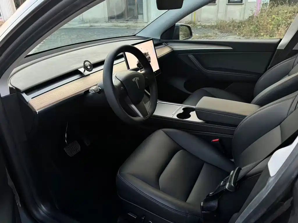 Tesla Model Y — миниатюра 6