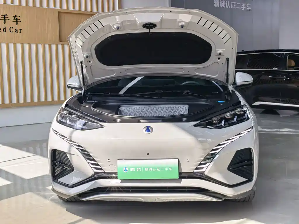 Denza Denza N7 — миниатюра 20