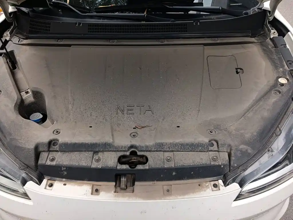 Neta Neta V — миниатюра 11