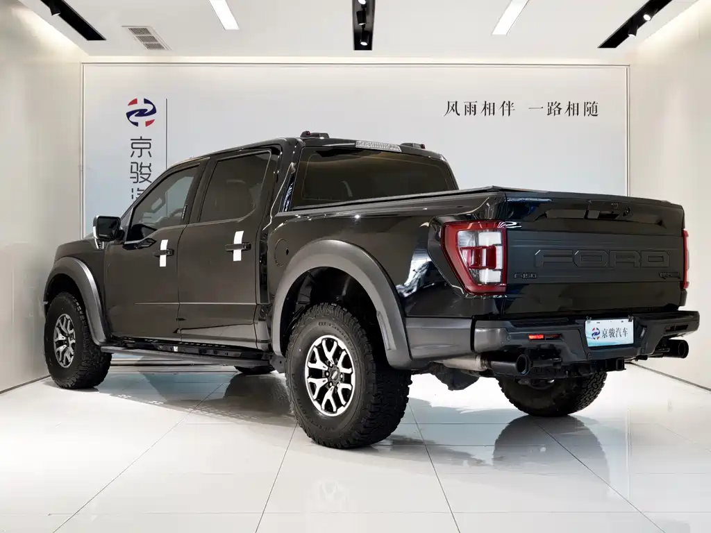 Ford F-150 Raptor — миниатюра 14