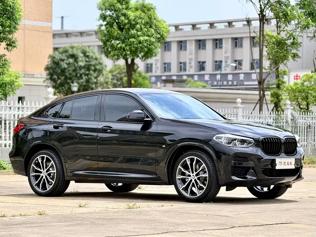 BMW X4 — миниатюра 3