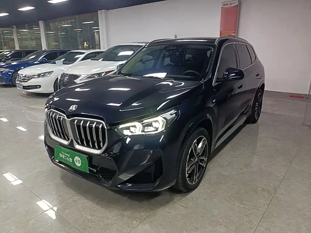 BMW X1 — миниатюра 2