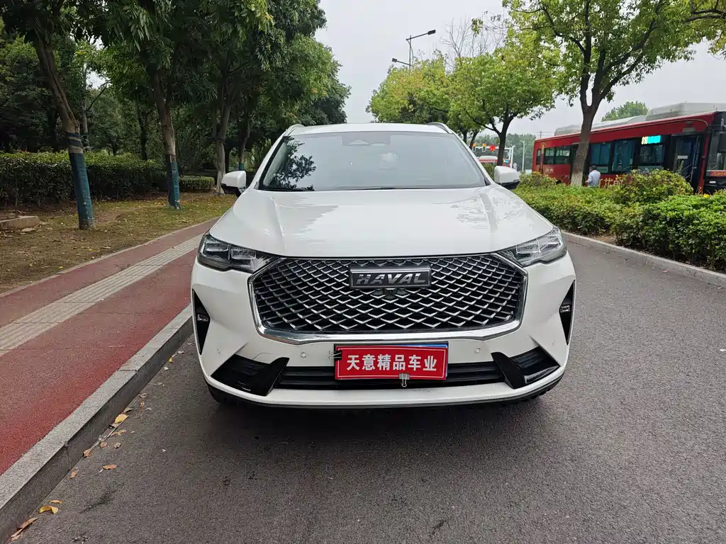 Haval H6 — миниатюра 2