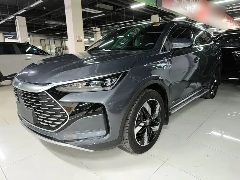 BYD Tang New Energy — миниатюра 2