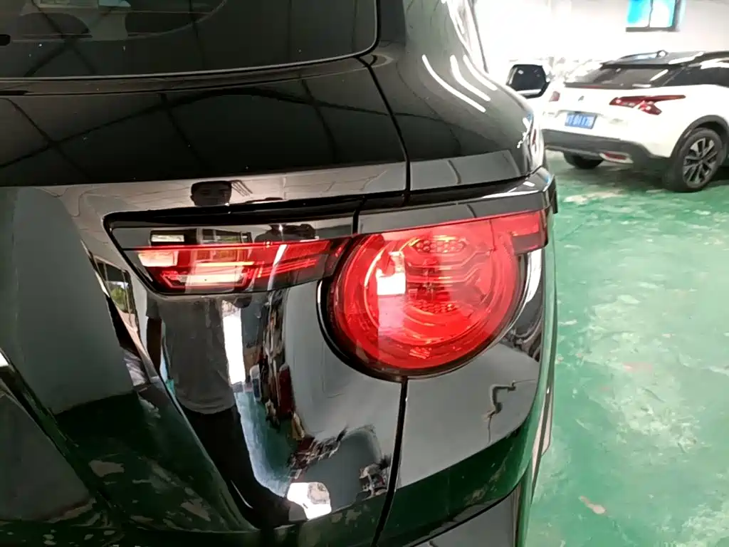 Haval Big Dog PLUS — миниатюра 8
