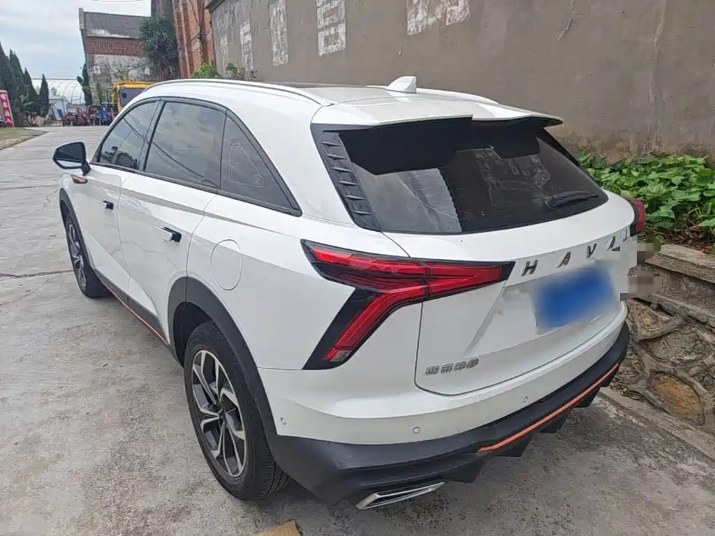 Haval Shenshou — миниатюра 5