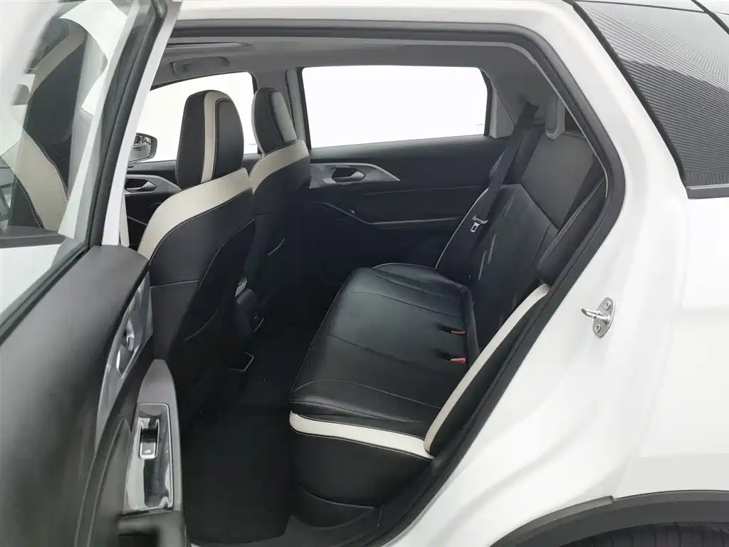 GEELY GEOMETRY E FIREFLY