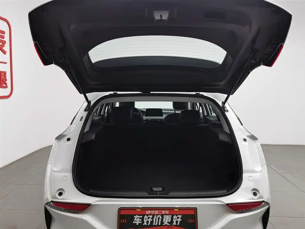 BUICK SLIGHTLY BLUE 6