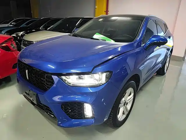 2019 Wey VV5
