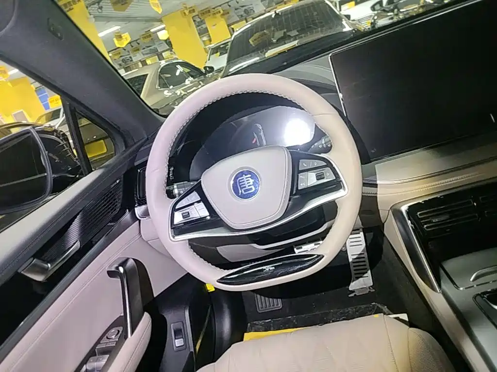 BYD Tang New Energy — миниатюра 15
