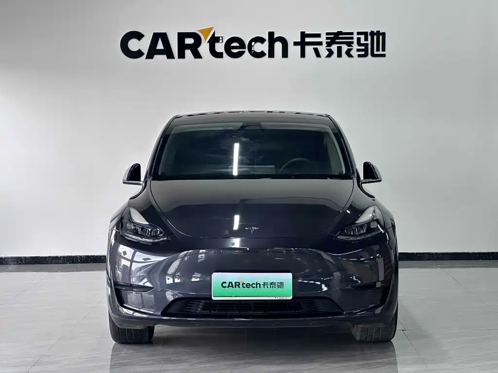 Tesla Model Y — миниатюра 2