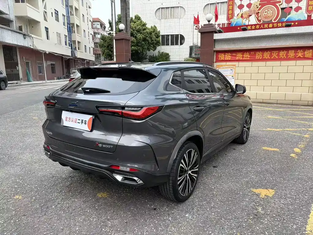 Oshan Oushang X5 — миниатюра 5