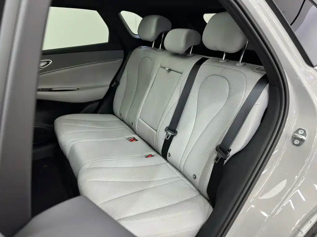 BYD Sealion 06 — миниатюра 7