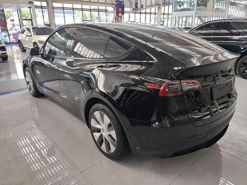 Tesla Model Y — миниатюра 5