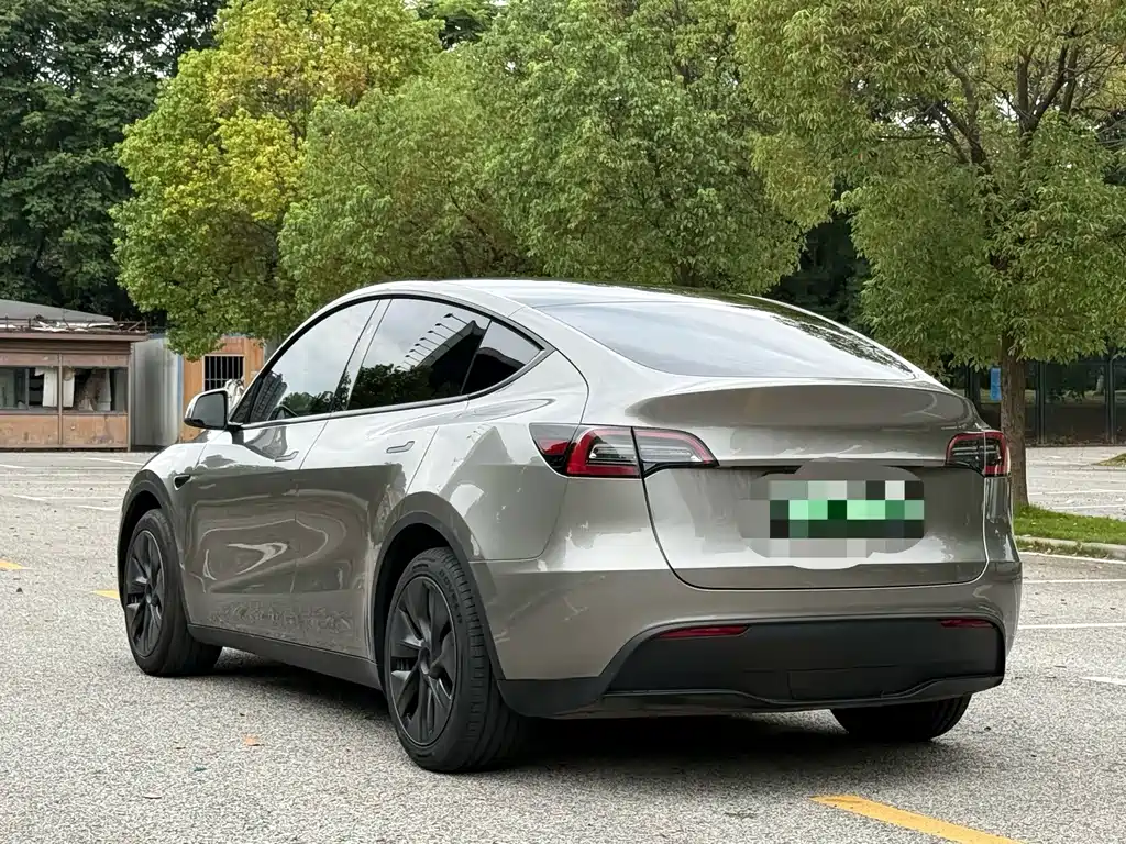 Tesla Model Y — миниатюра 14