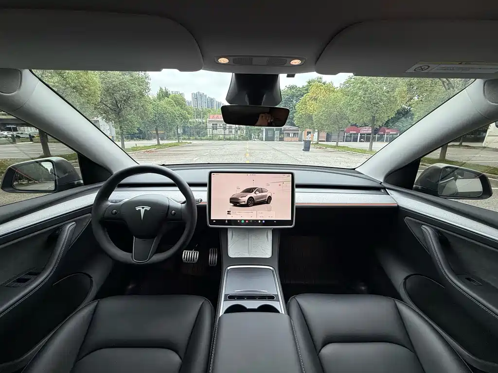 Tesla Model Y — миниатюра 11