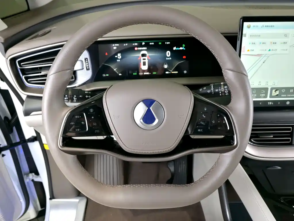 Denza Denza D9 — миниатюра 14