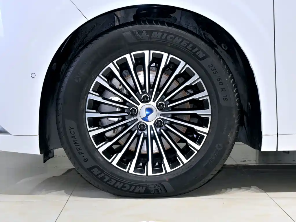 Denza Denza D9 — миниатюра 29