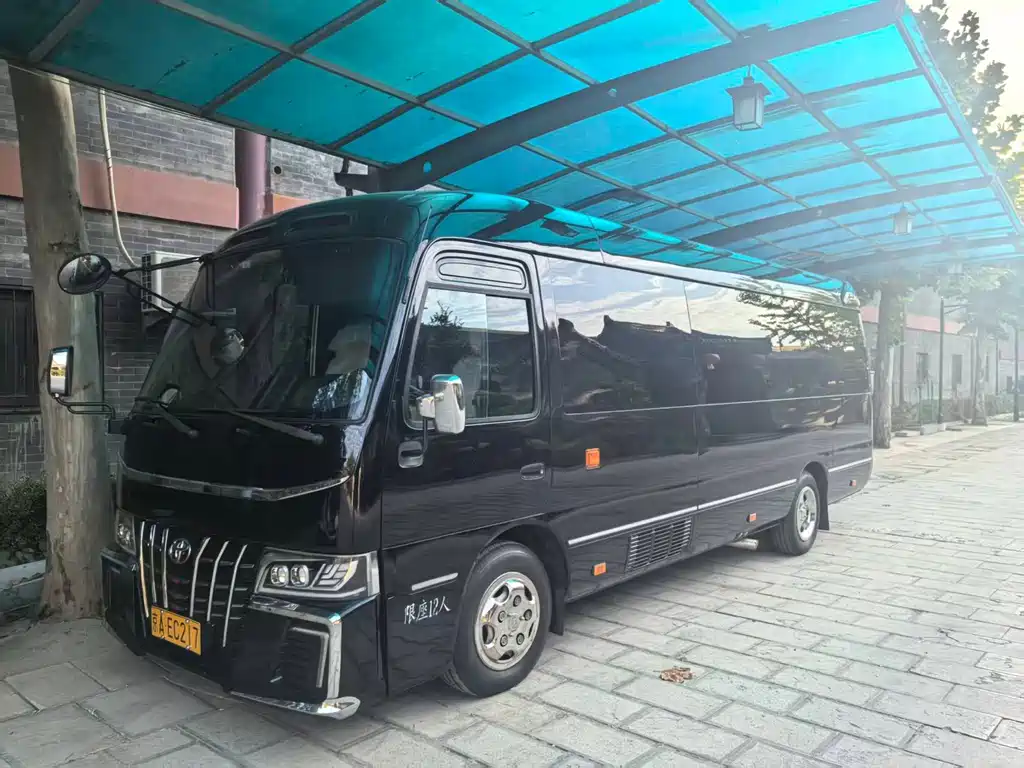 Toyota Coaster — миниатюра 2