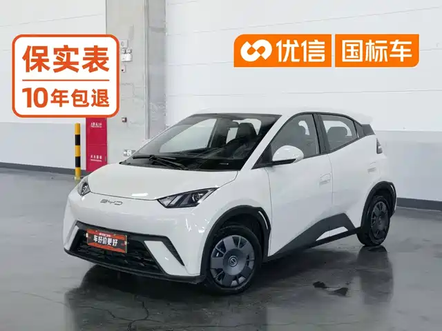 BYD 海鸥
