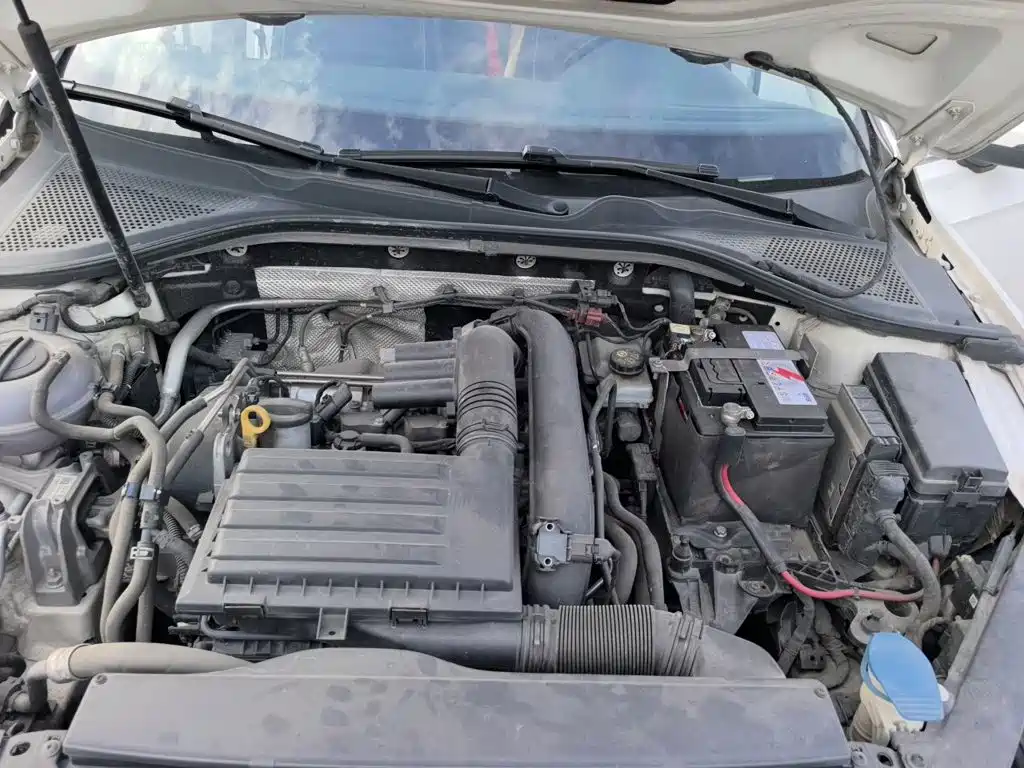 Volkswagen Lamando — миниатюра 11