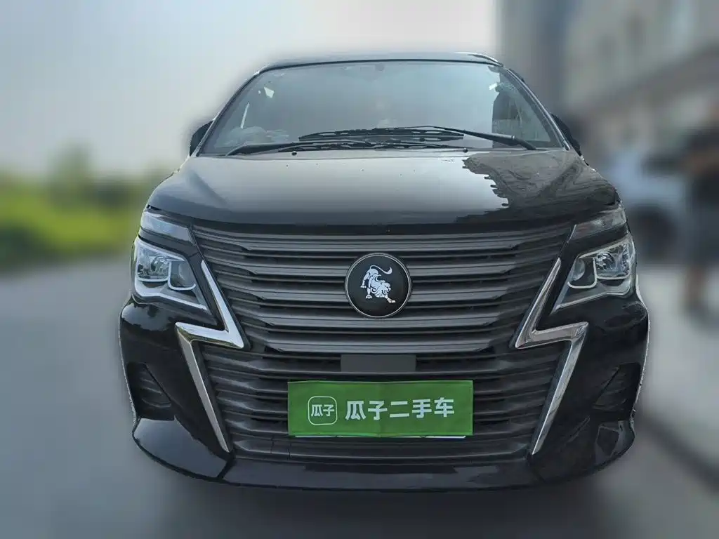 Fengxing Lingzhi — миниатюра 23