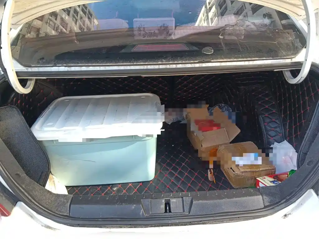 Geely Emgrand — миниатюра 15
