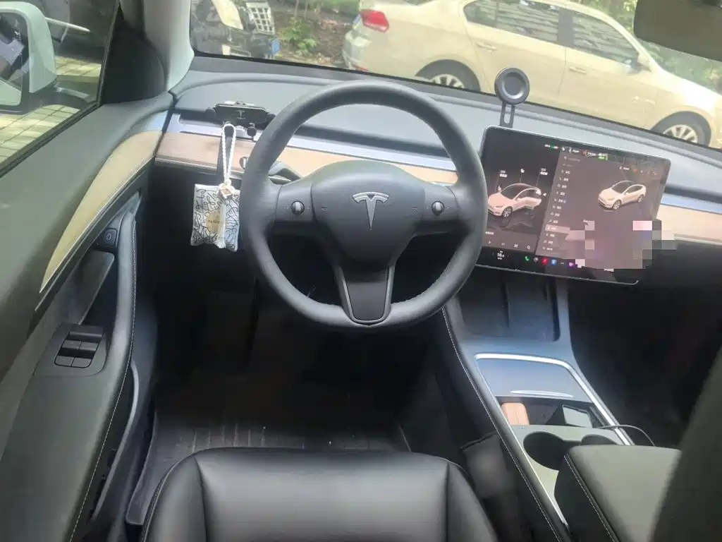 Tesla Model Y — миниатюра 6