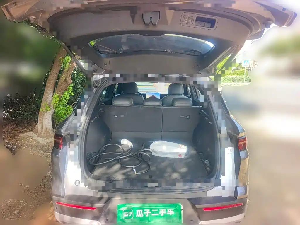 BYD Pro New Energy — миниатюра 15