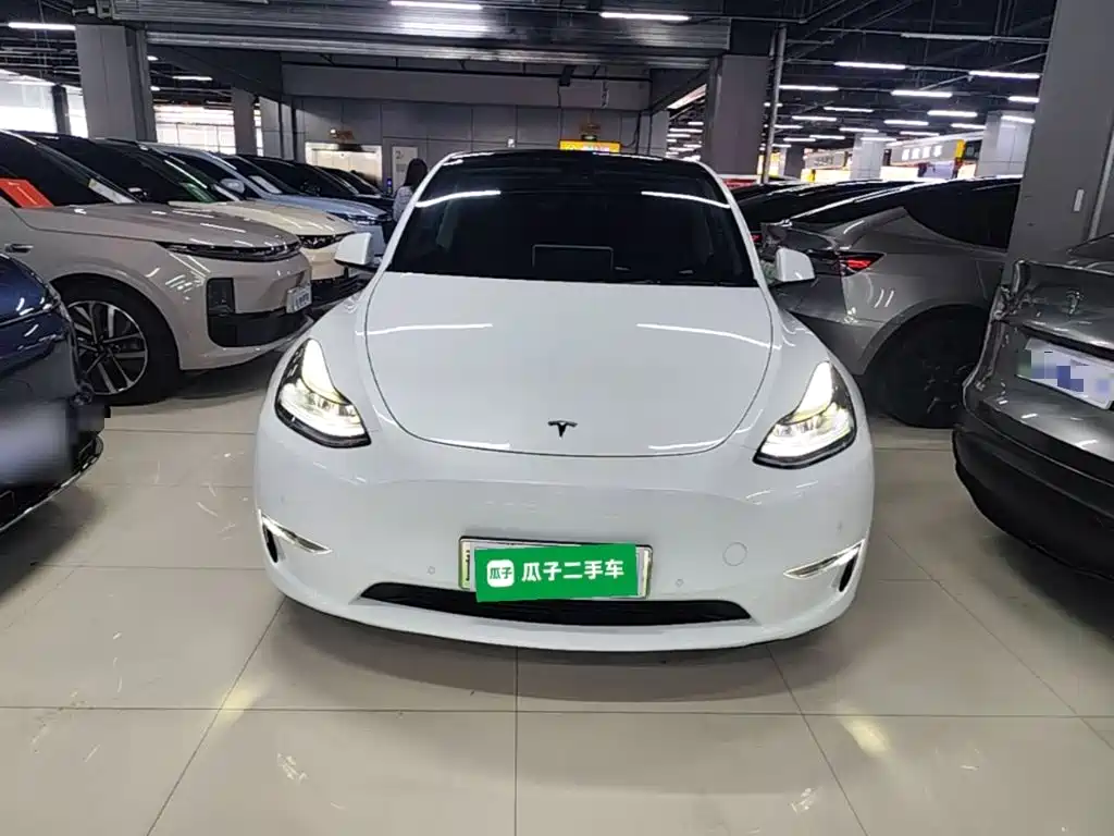 Tesla Model Y — миниатюра 3