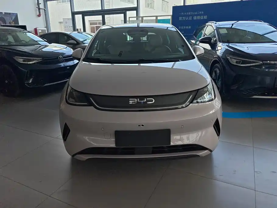 BYD Dolphin — миниатюра 2