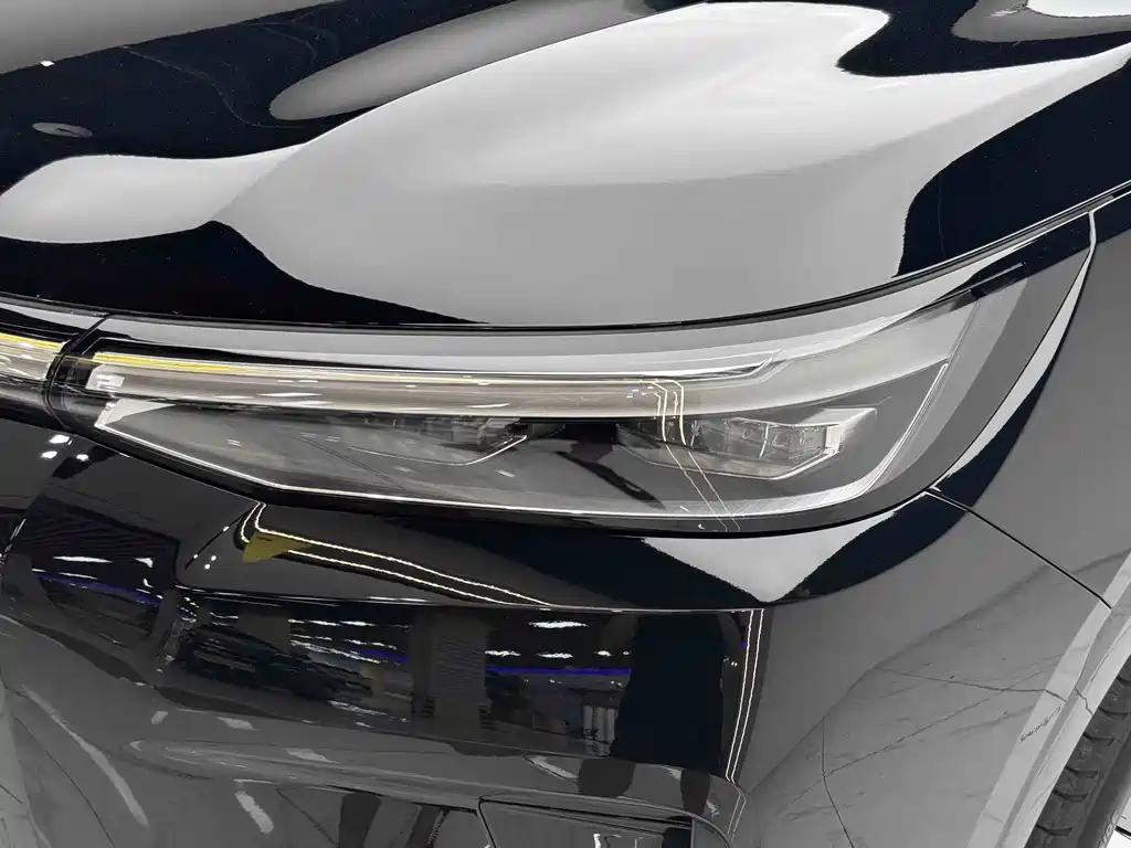 GAC Motor Trumpchi Xiangwang S9 — миниатюра 12