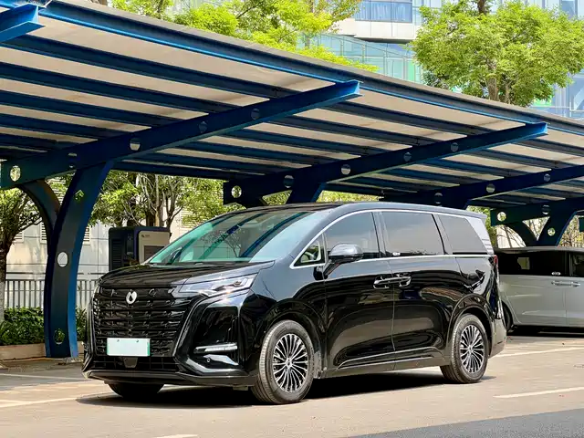 2024 Denza D9