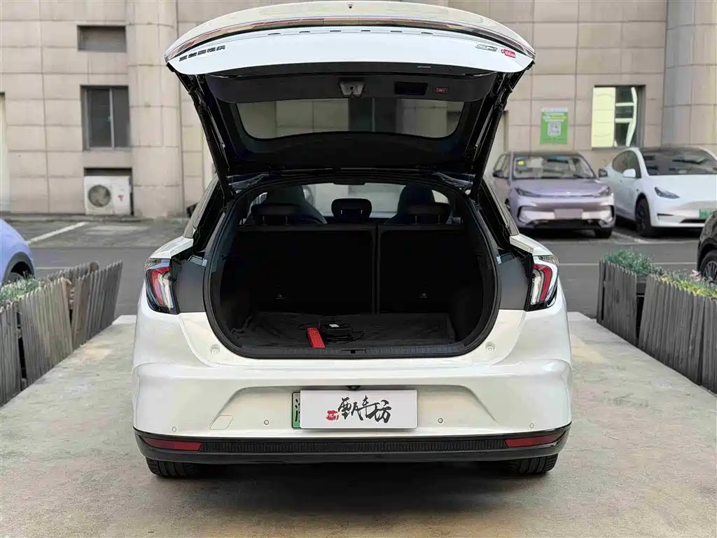 ARCFOX EXTREME FOX POLAR FOX ALPHA S