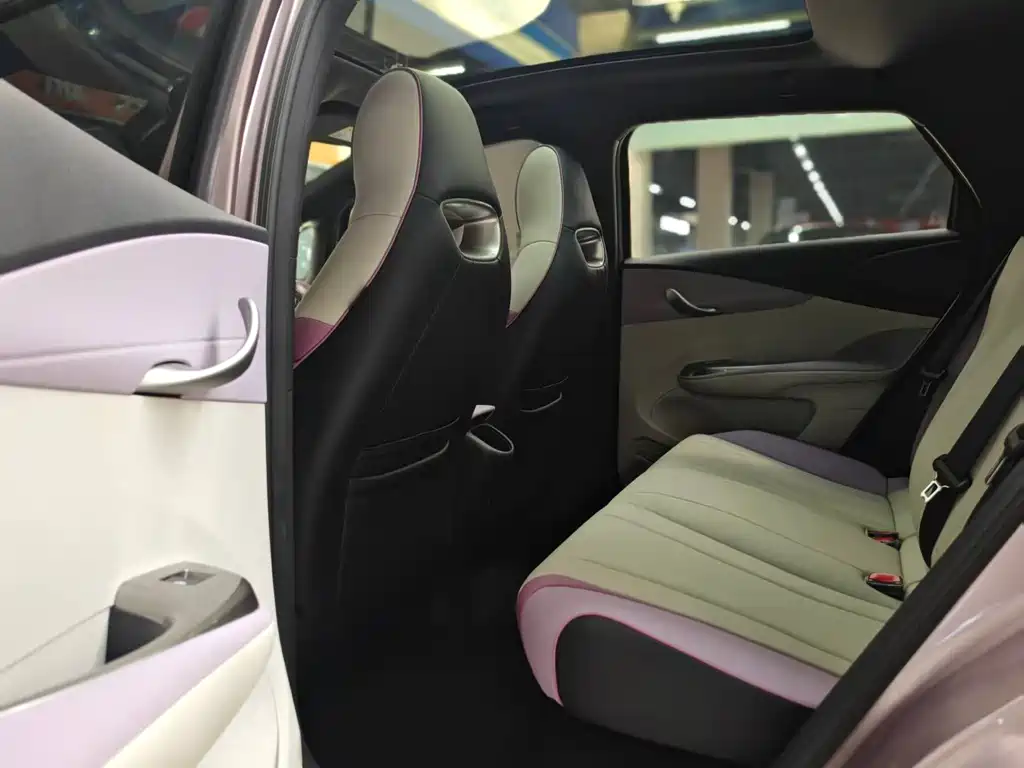 BYD Dolphin — миниатюра 8