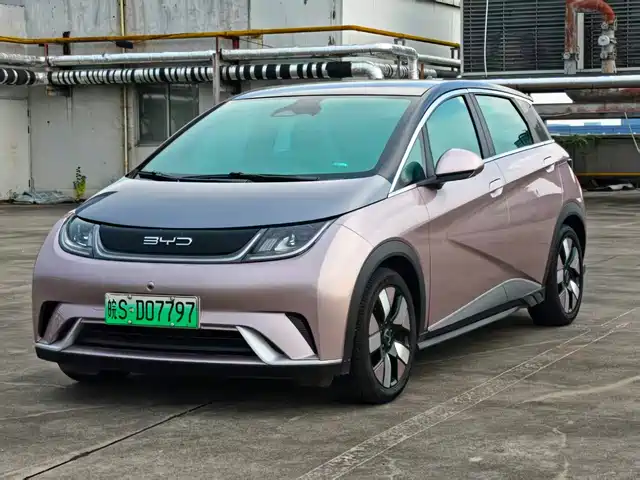 2022 BYD Dolphin