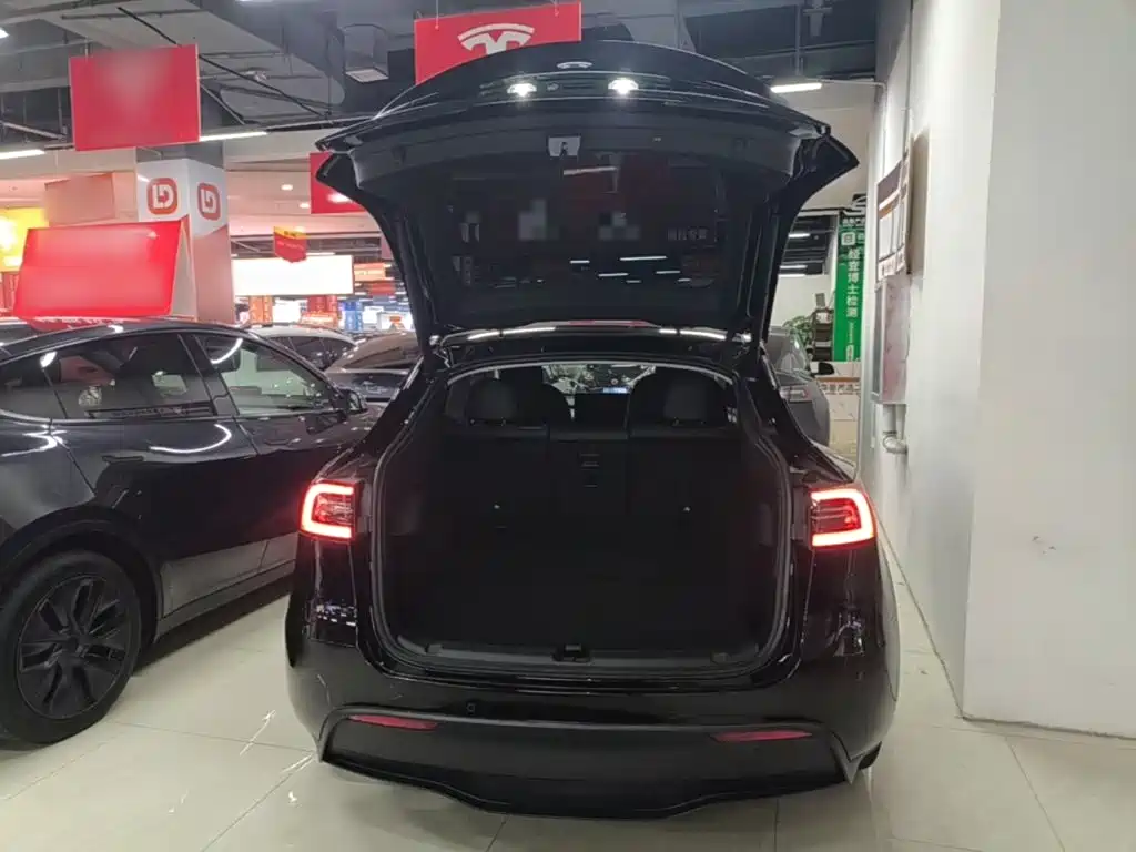 Tesla Model Y — миниатюра 19