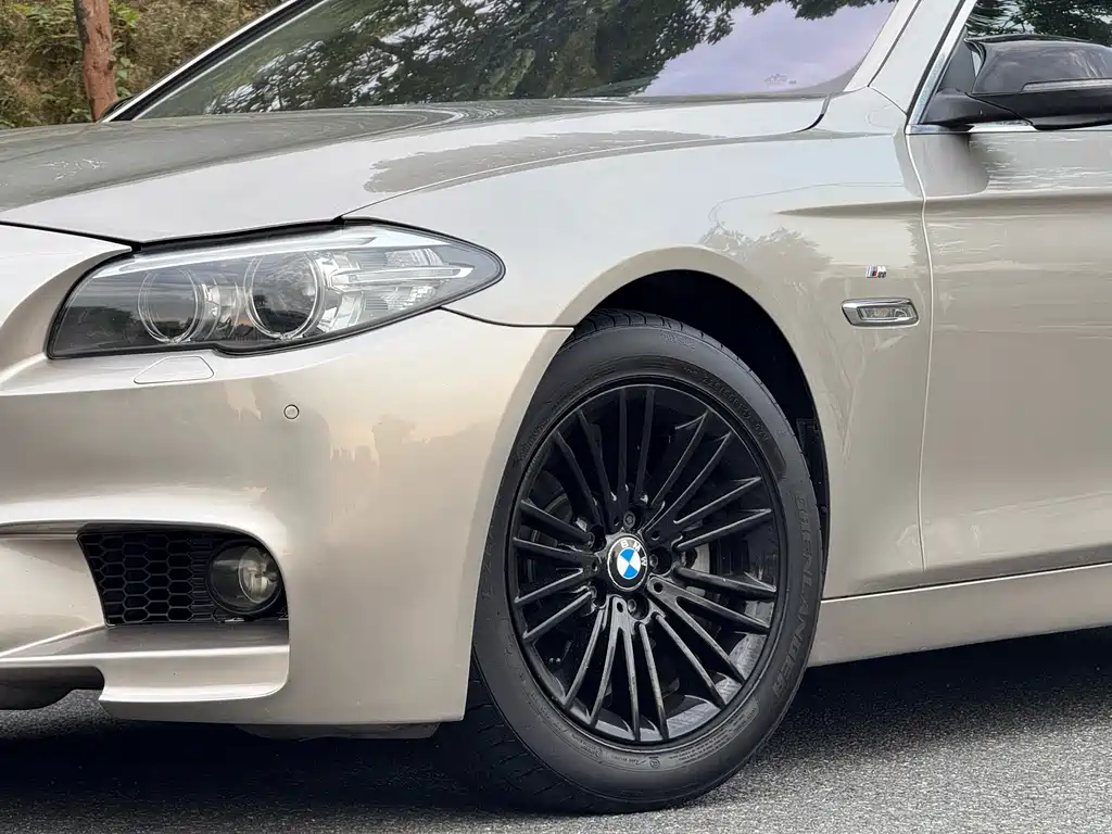 BMW 5 Series 5 2014 525Li Lead