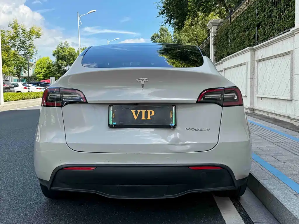 Tesla Model Y — миниатюра 4
