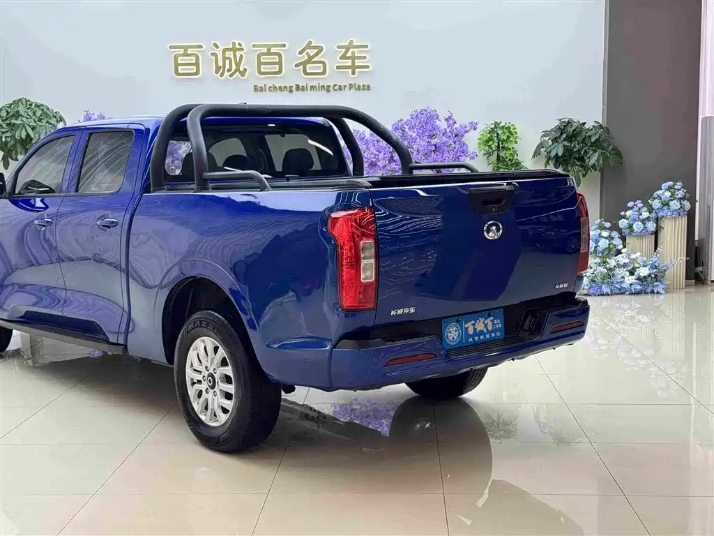 Great Wall Pao — миниатюра 8