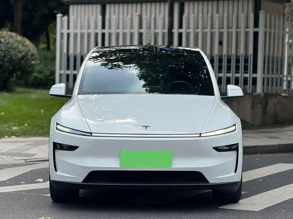 Tesla Model Y L — миниатюра 2