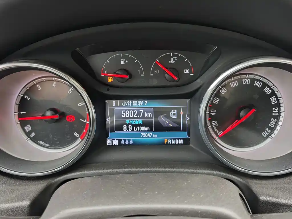Buick Regal — миниатюра 13