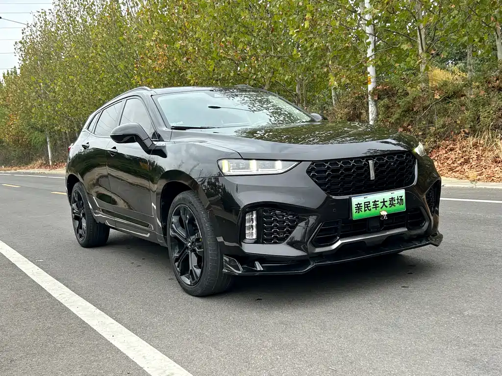 Wey Wey VV7 — миниатюра 13
