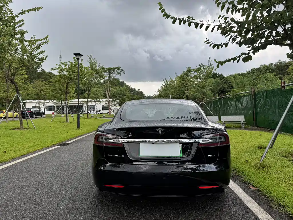 Tesla Model S — миниатюра 8