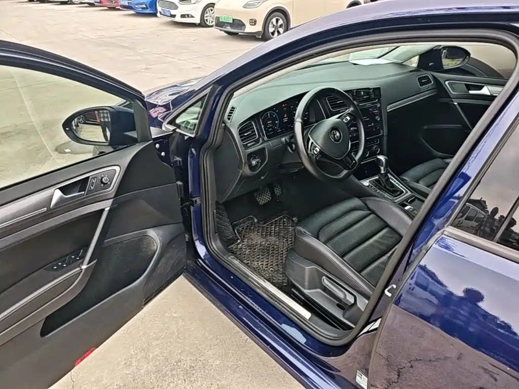 Volkswagen Golf New Energy (Import) — миниатюра 16