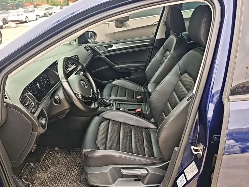 Volkswagen Golf New Energy (Import) — миниатюра 15